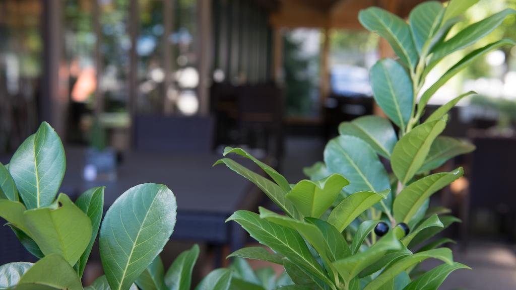 Hotel Badhof Altstatten Phòng bức ảnh
